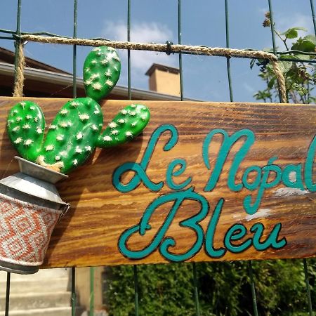 Apartament Le Nopal Bleu Tarascon-sur-Ariège Zewnętrze zdjęcie