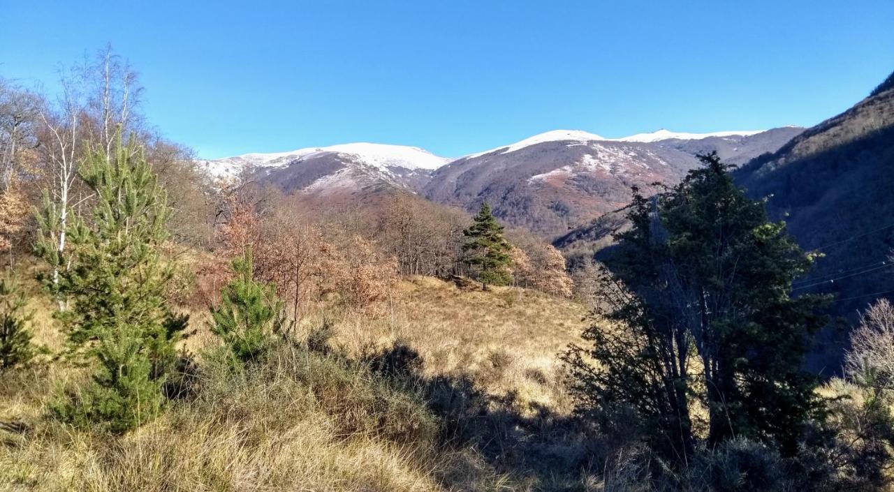Apartament Le Nopal Bleu Tarascon-sur-Ariège Zewnętrze zdjęcie
