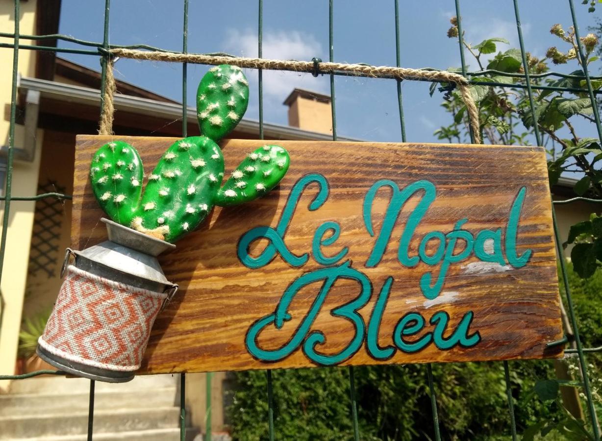 Apartament Le Nopal Bleu Tarascon-sur-Ariège Zewnętrze zdjęcie