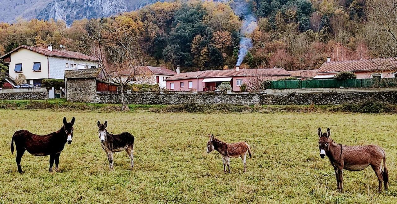 Apartament Le Nopal Bleu Tarascon-sur-Ariège Zewnętrze zdjęcie