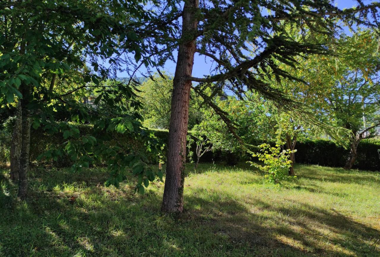 Apartament Le Nopal Bleu Tarascon-sur-Ariège Zewnętrze zdjęcie